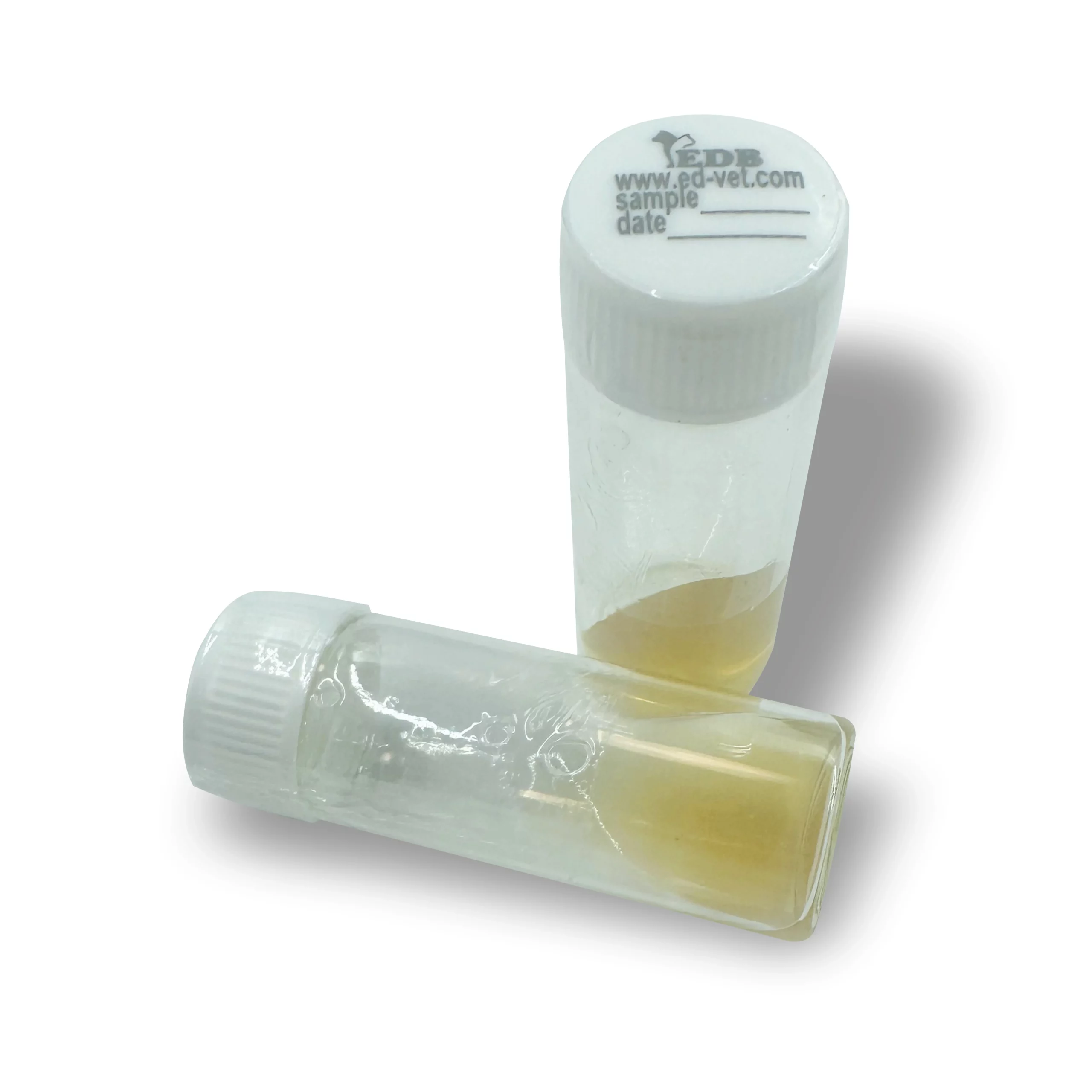 ЕДВЕТ-Кандида Скрин ТЕСТ, 1 набор (10 тестов в наборе)10 тестов